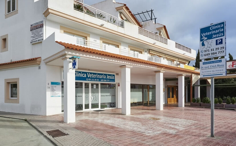 Veterinario Jesus En Ibiza